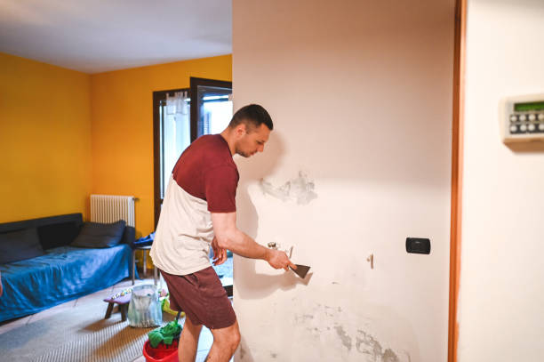 Professional Mold Remediation in Amesti, CA